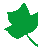 y_leaf.gif (1259 bytes)